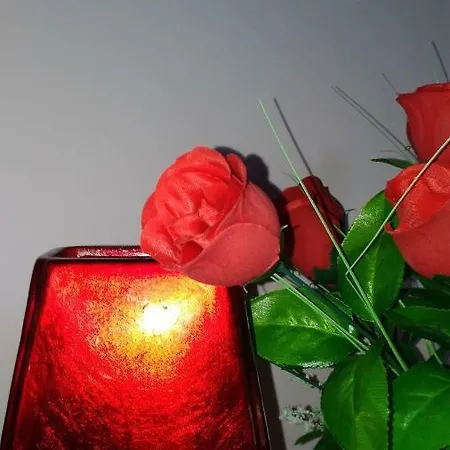 Daire Casa Delle Rose *