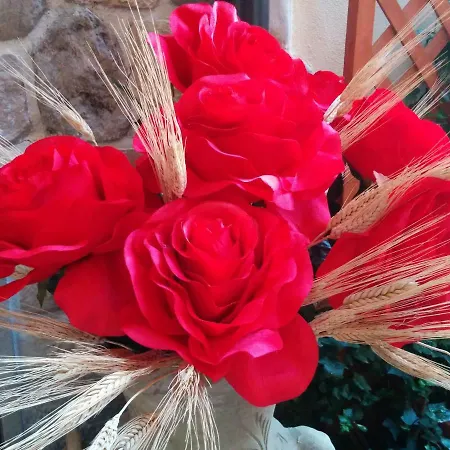 Casa Delle Rose